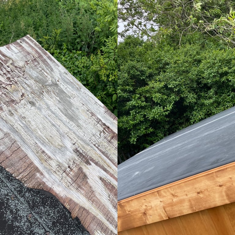 That Shed Repair Guy