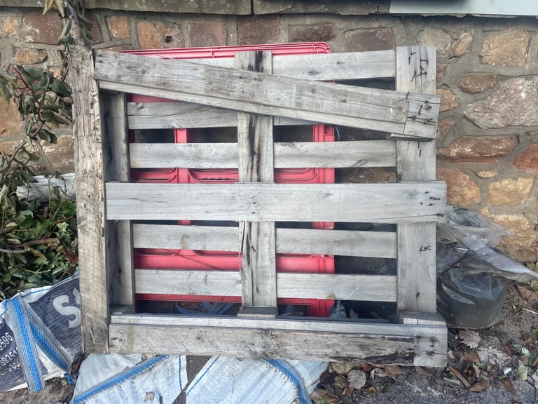 Free wooden pallet 