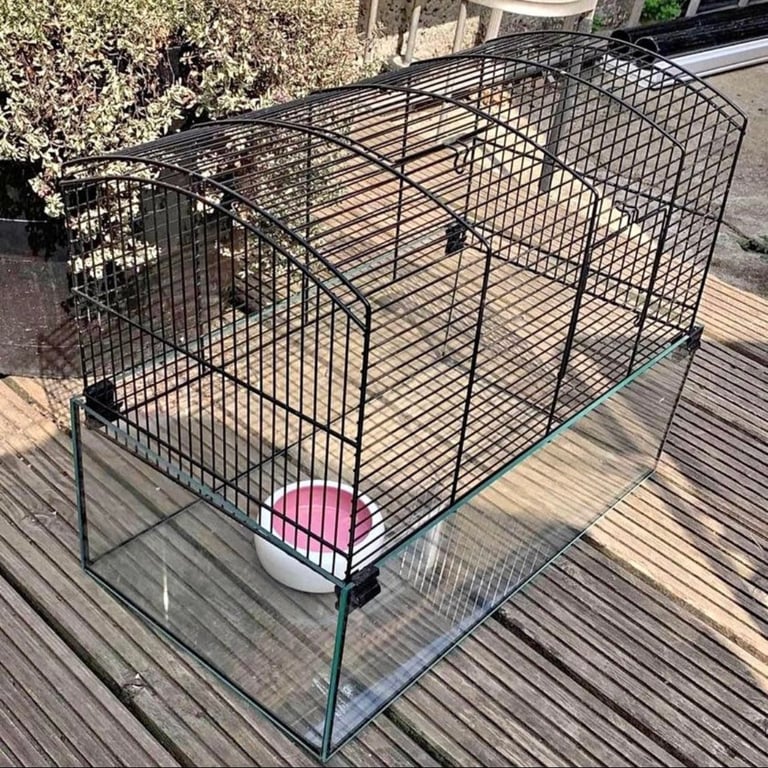 Gerbil cage 