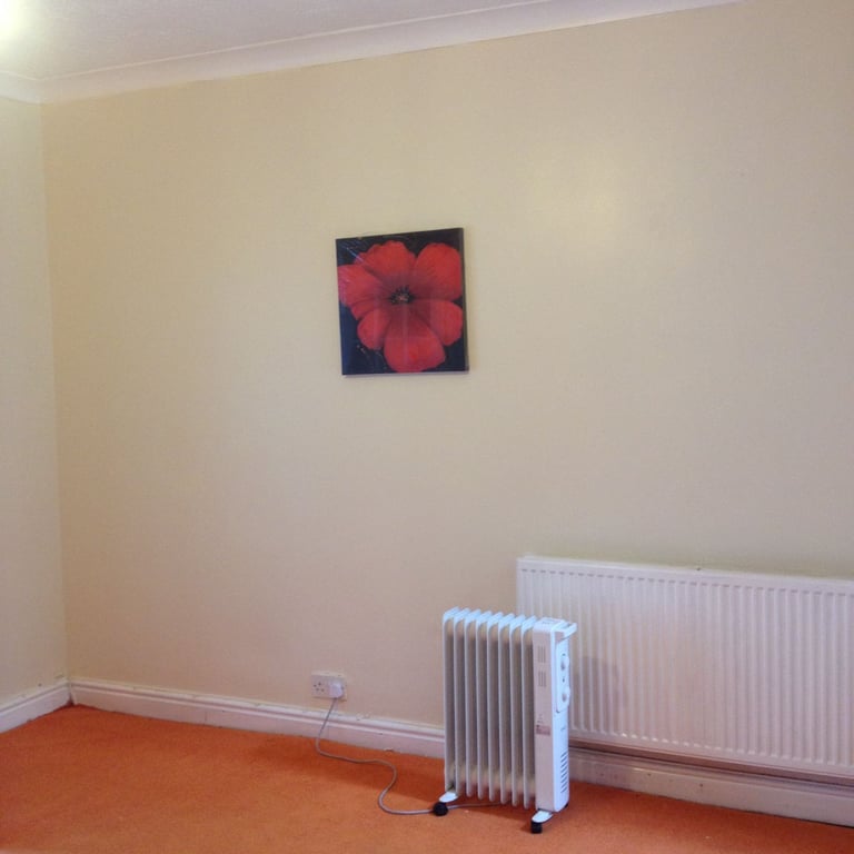 Beautiful spacious available in heart of the town