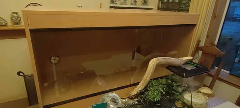 Large Beech Vivarium Bundle (4'x2'x2')
