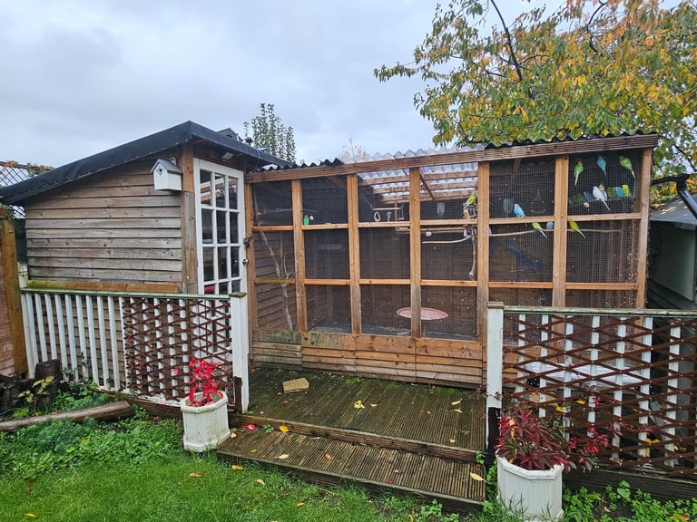 Large aviary for sale