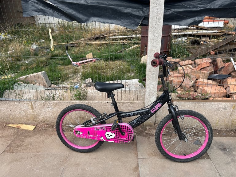 image for Purple bike