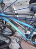For sale man&#039;s carrara mountain bikes 