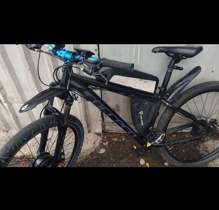 image for Electric carrera bike