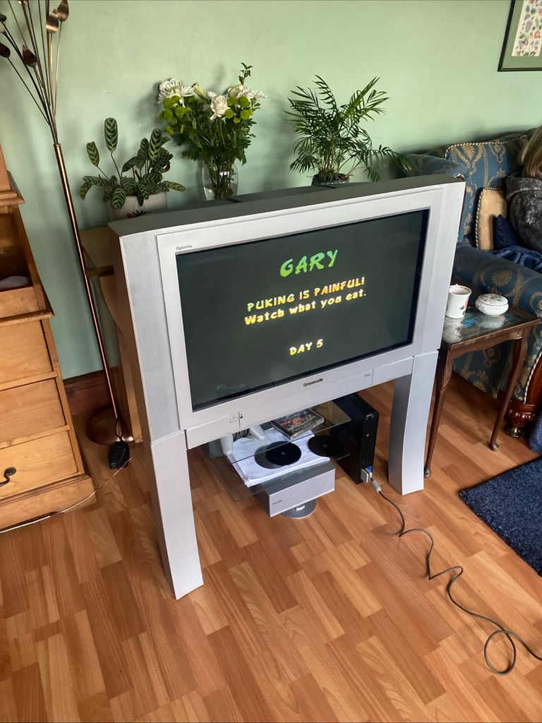 Panasonic Quintrix TX32PS500 CRT Retro Gaming TV with Surround Sound System and  Remote