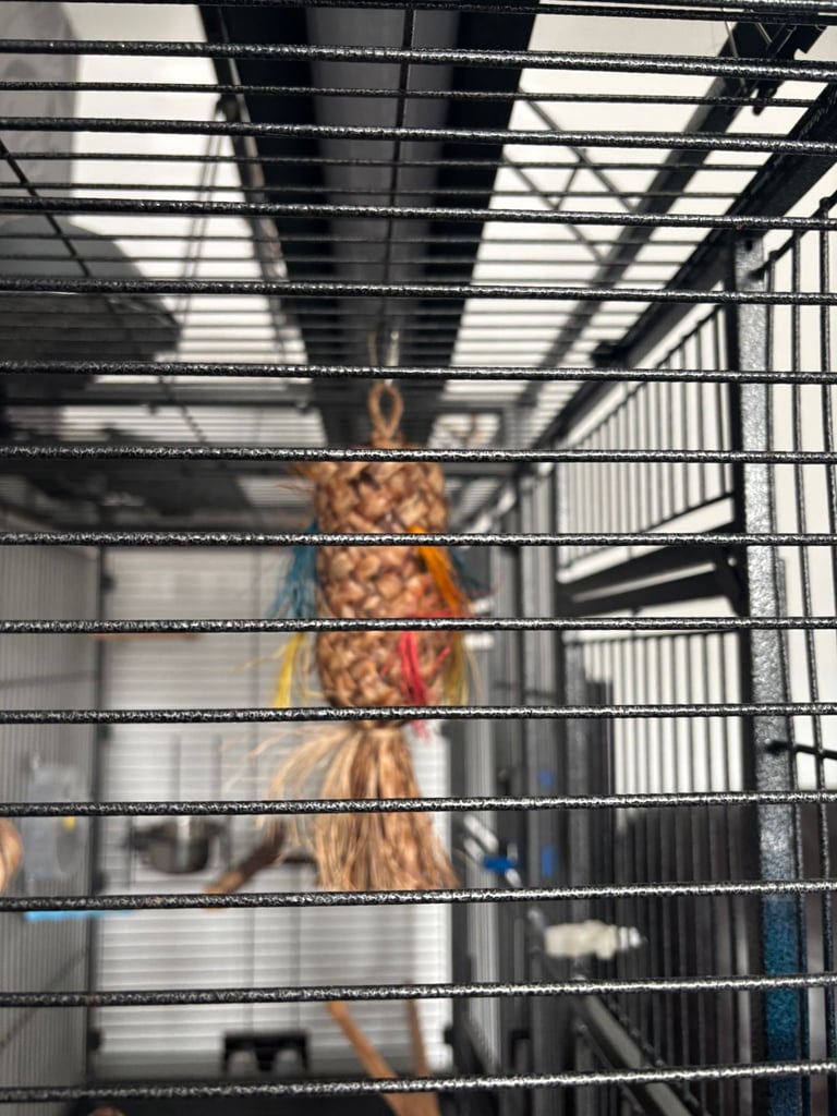 Large Parrot Cage