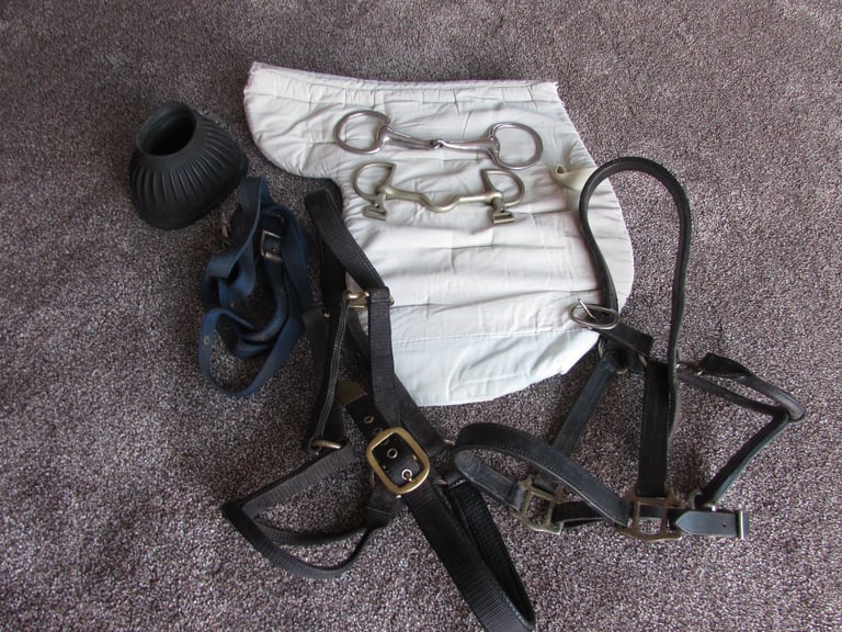 image for HORSE ACCESSORIES.   JOB LOT