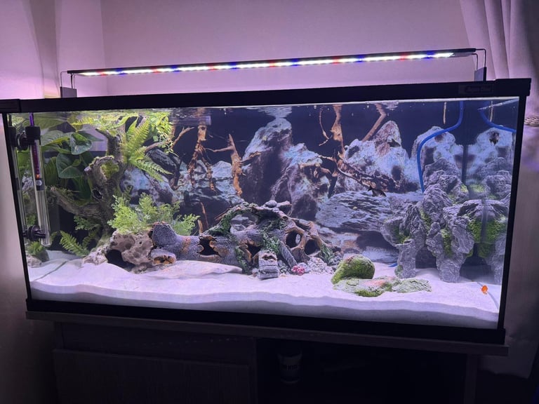 image for 130l fish tank, cabinet and accessories