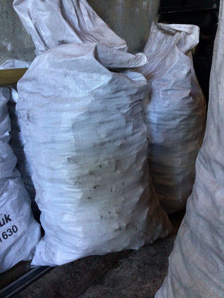 Coal