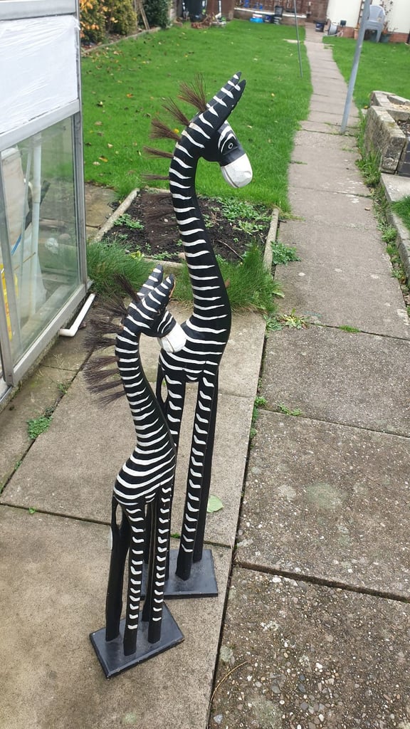 image for Zebra ornments