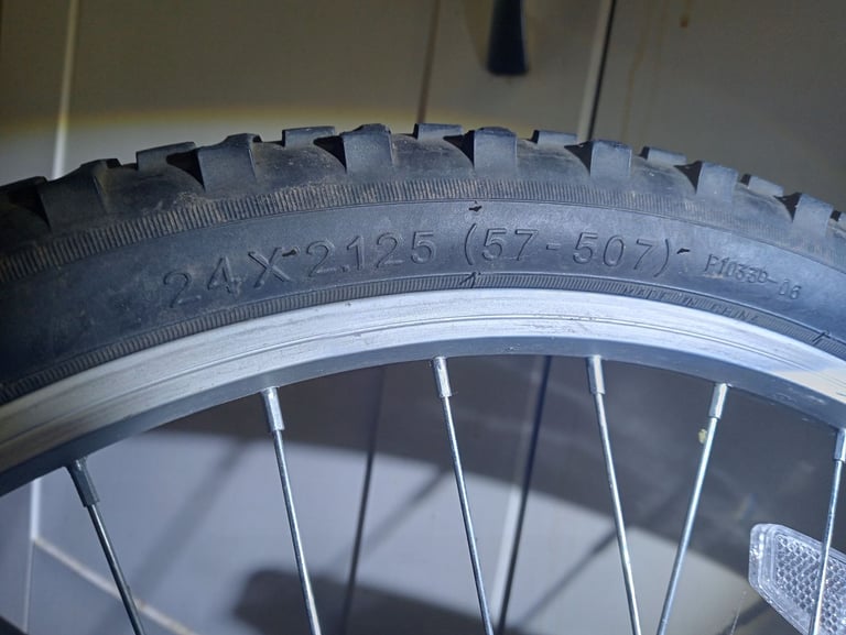 Arden Peak Mountain Bike