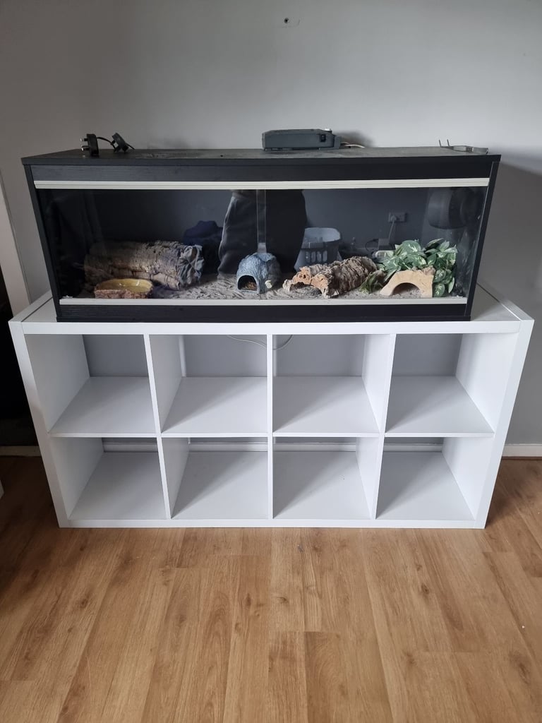 Reptile vivarium 