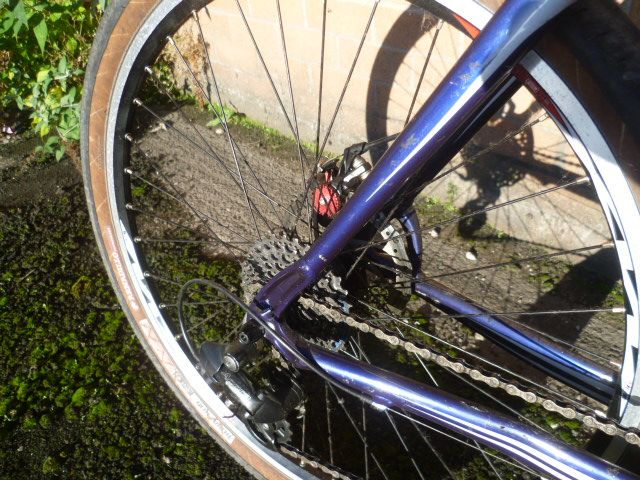 Large mountain bike-Specialized