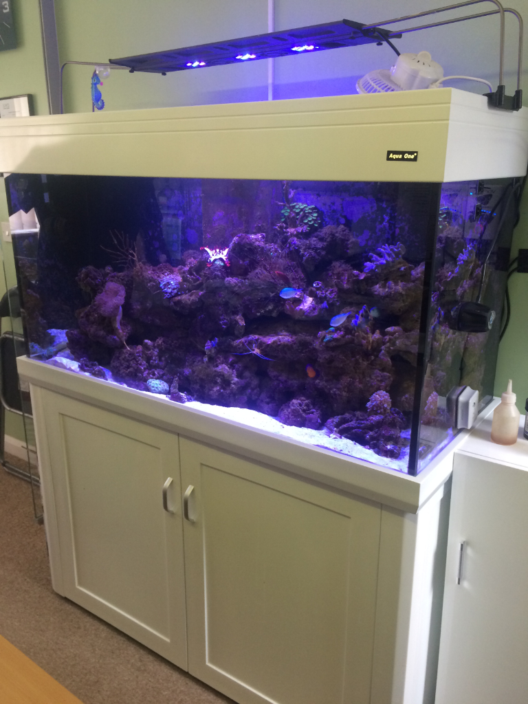  Aqua one White 400 marine tropical fish tank aquarium with setup