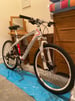IMMACULATE CARBON (18 INCH) SPECIALISED STUMPJUMPER COMP