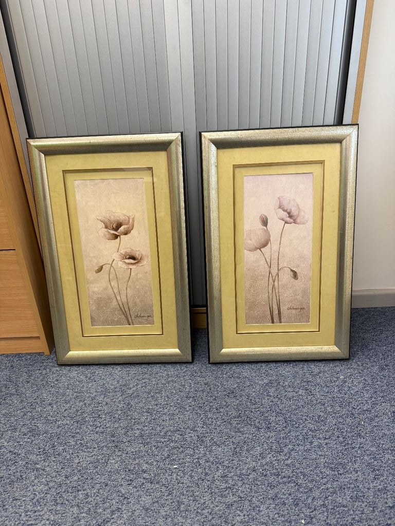 image for 2 x Matching Framed Photos