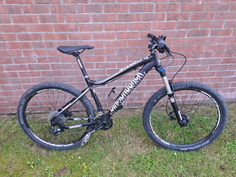 Diamondback Gumtree