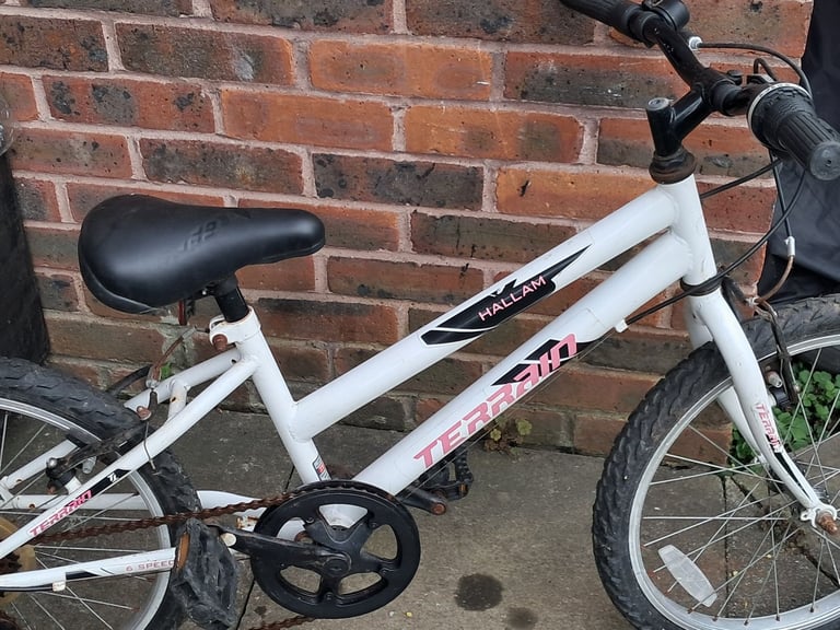 image for Terrain kid's mountain bike, 20 inch tyres size,  suitable for 4 to 9 years old 