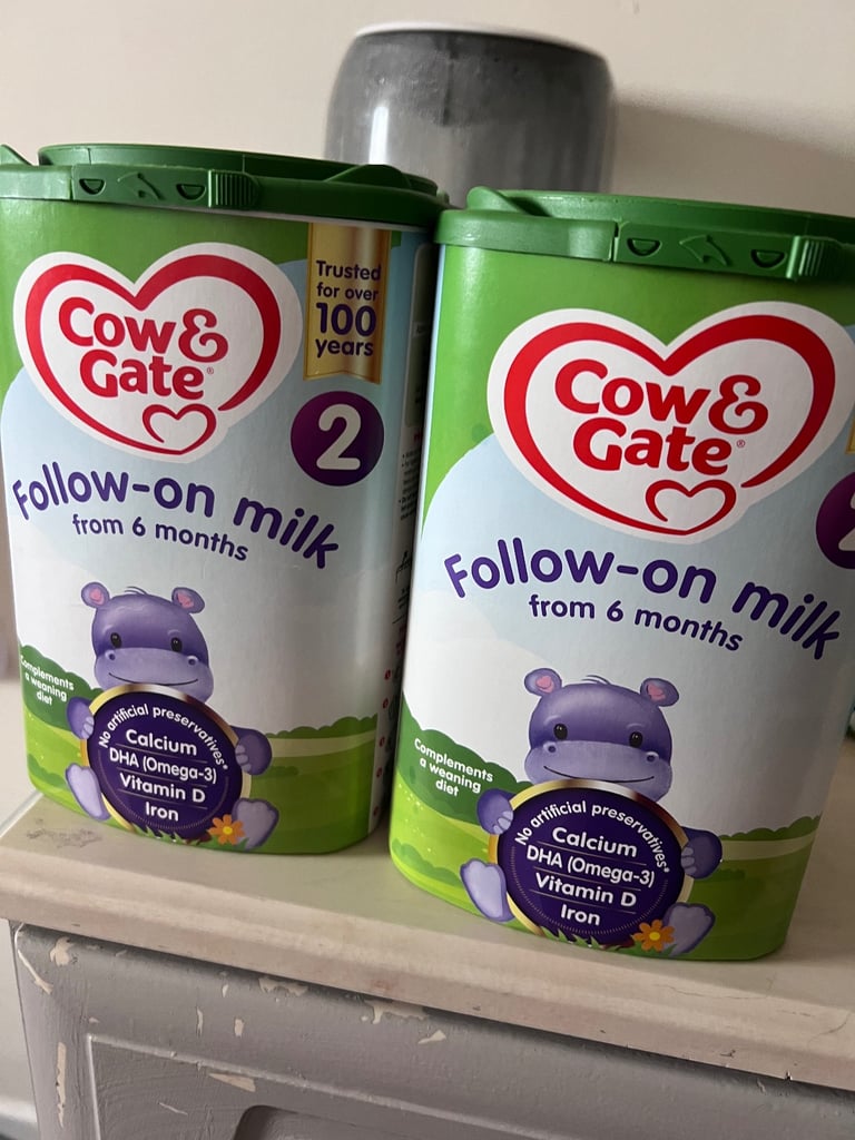 Cow and gate 2
