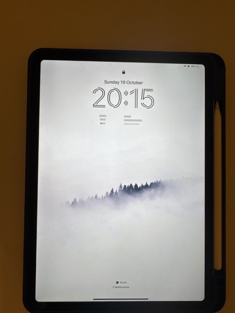 Ipad pro 4th generation + Apple Pencil 