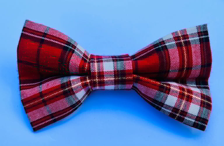 29 Dog Bow Ties