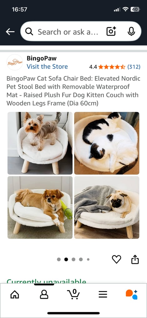 Cat sofa bed