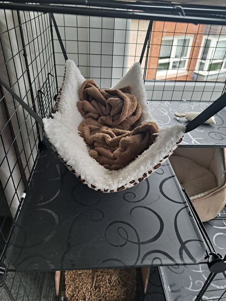 Small/Medium animal cage