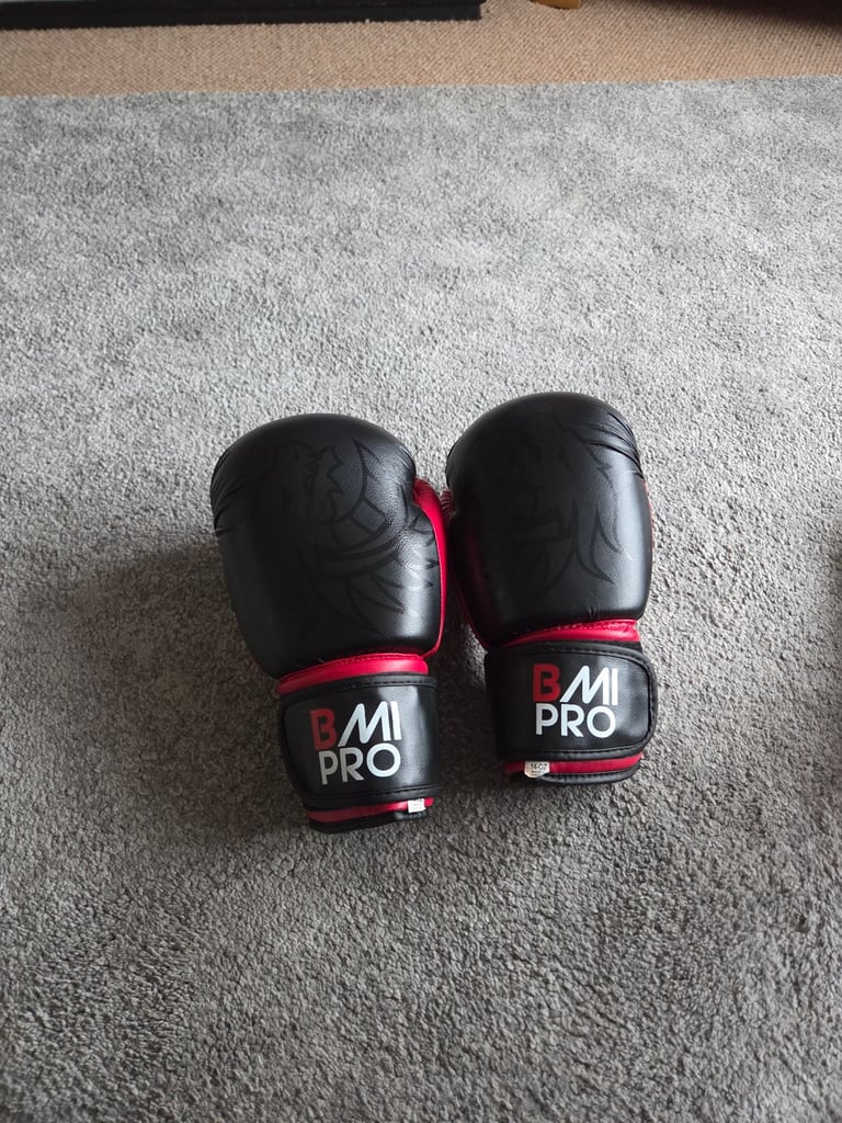 14oz boxing gloves