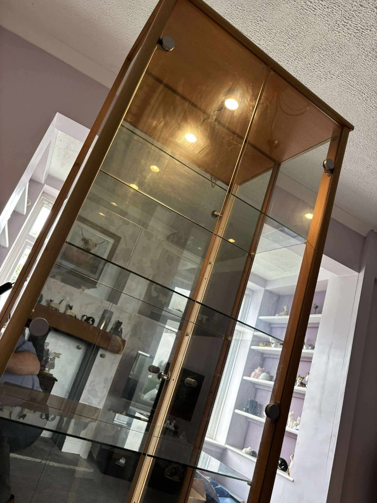 Glass Display Cabinet with Mirrored Back