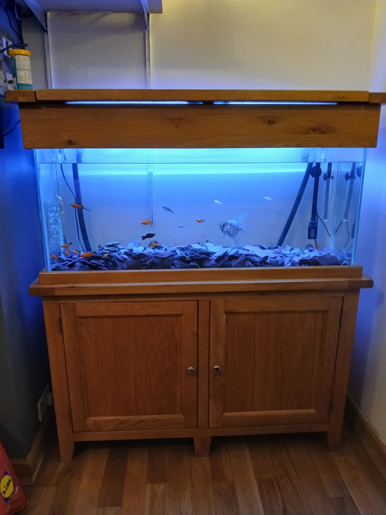 image for Aquarium on solid oak cabinet 4f 160 litres/42 gallon