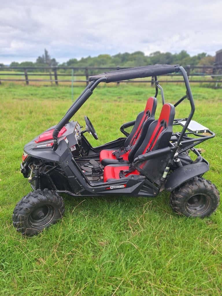 ATV/ Stingray 210/ Off road buggy