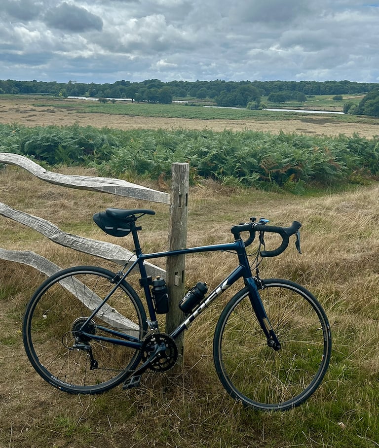 image for Trek Domane AL 2 (58cm) – Excellent Condition