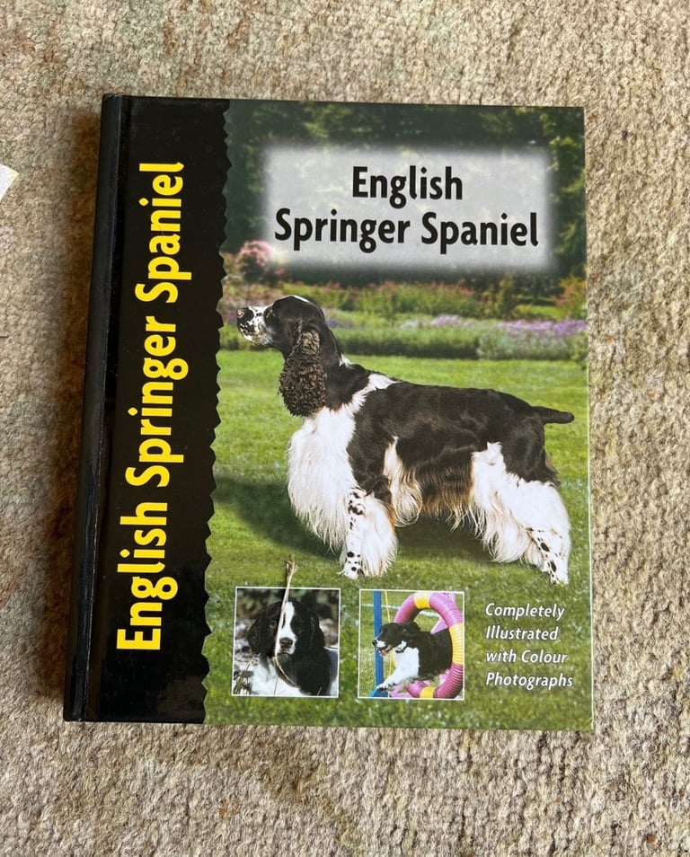 image for Springer Spaniel book