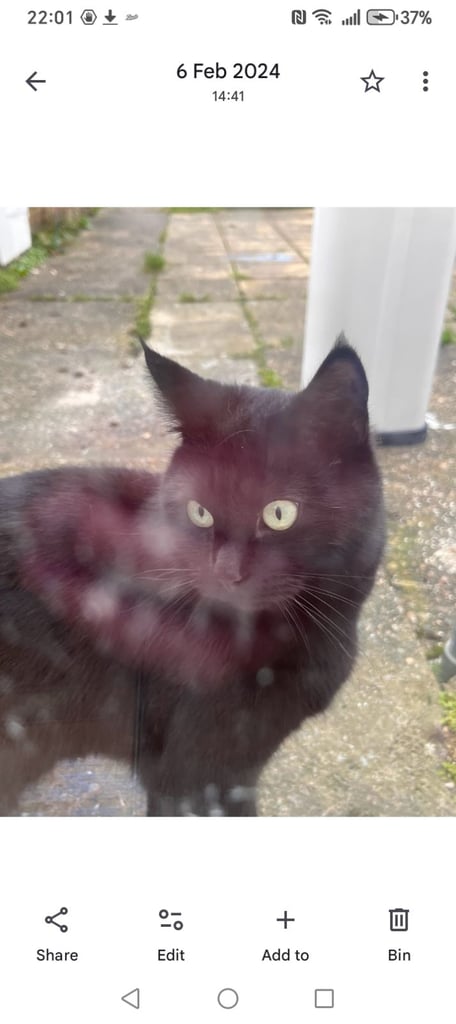 Brother and sister titch & lola 