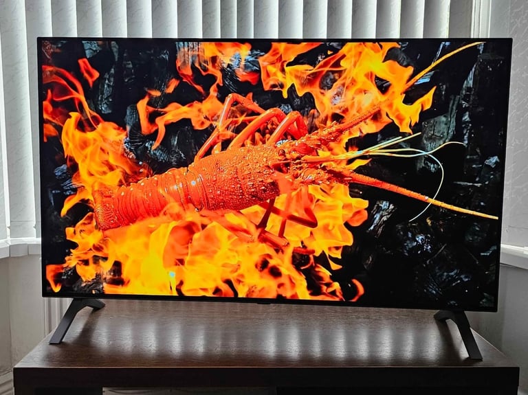LG 55 inch Frameless OLED 4K UHD Smart TV with Latest Apps,Voice Remote