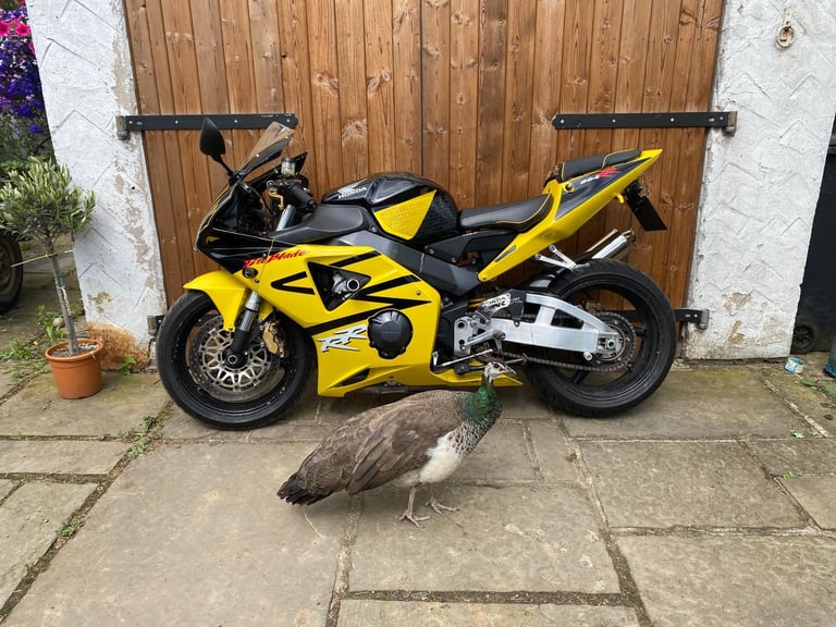 Honda CBR 954 Fireblade 2003 Sport bike