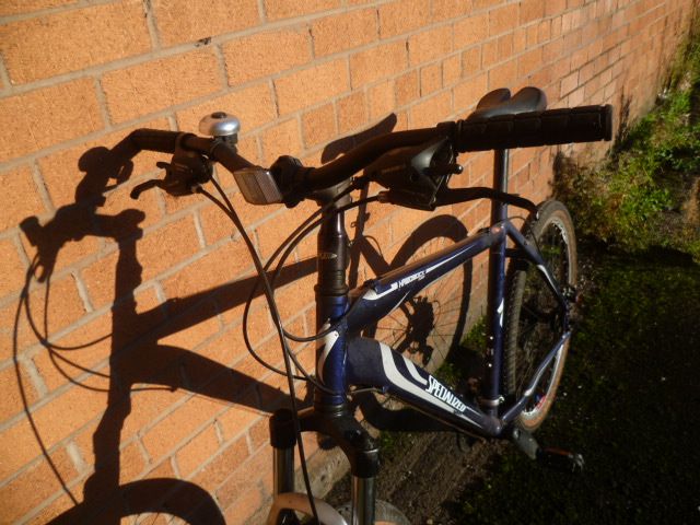 Large mountain bike-Specialized