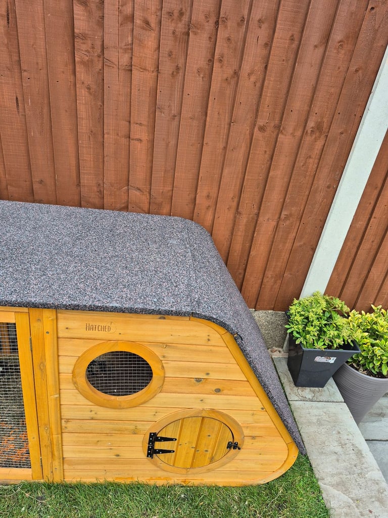 ​Pair of Adorable 14-Week-Old Rabbits with Luxury Hatched® Noah's Ark Hutch - Full Set-Up!