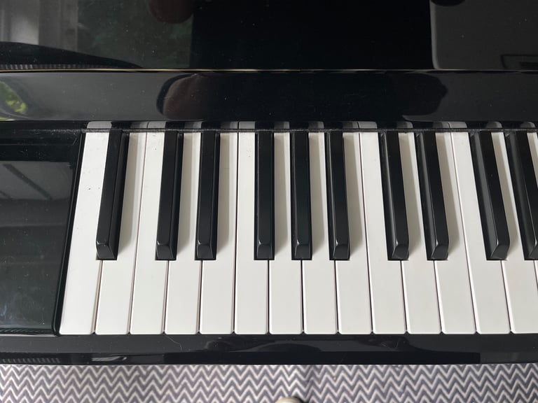New- Fun Adult beginners piano 🎹 group class N4