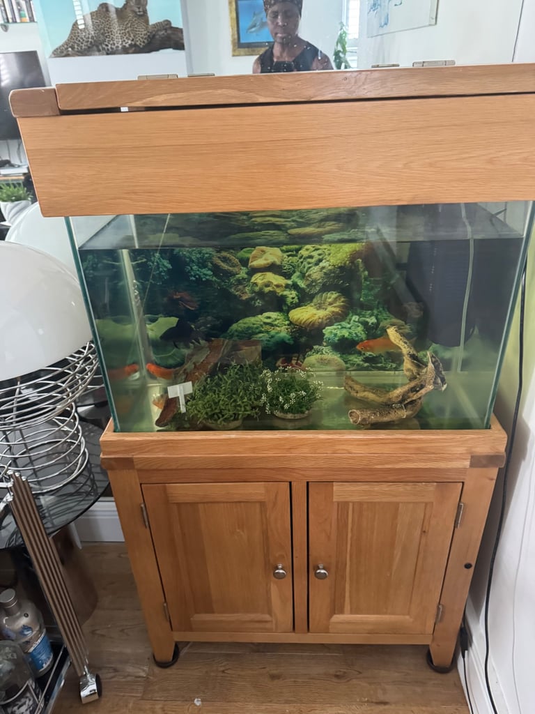 image for SOLID WOOD BEAUTIFUL ALMOST NEW AQUARIUM 2 PARTS + filter FLUVAL 3+4 GOLD FISH.