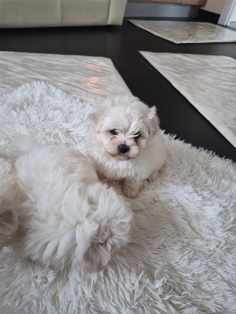 Beijan freeze ready.ready to leave 