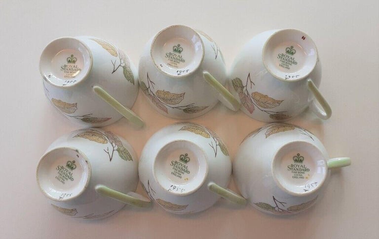 Royal Standard Fine Bone China Tea Set. Unusual pattern.