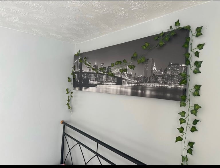 Single room and double available for rent 