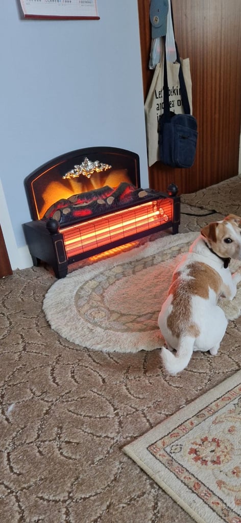 image for Electric fire 