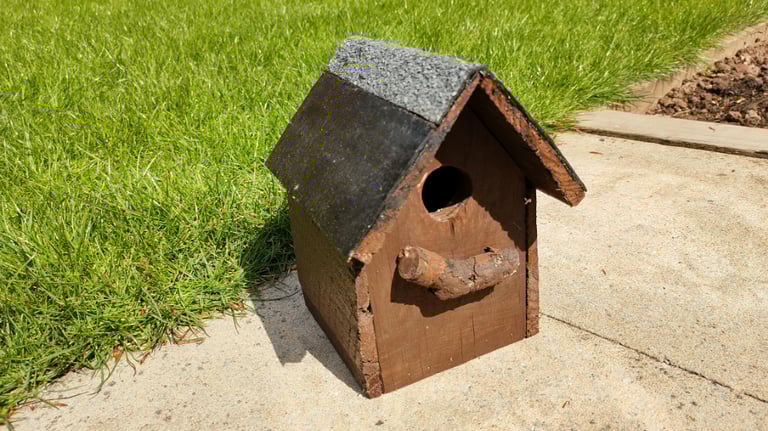 Charming Bird Boxes - £10 each (or all 3 for £25)