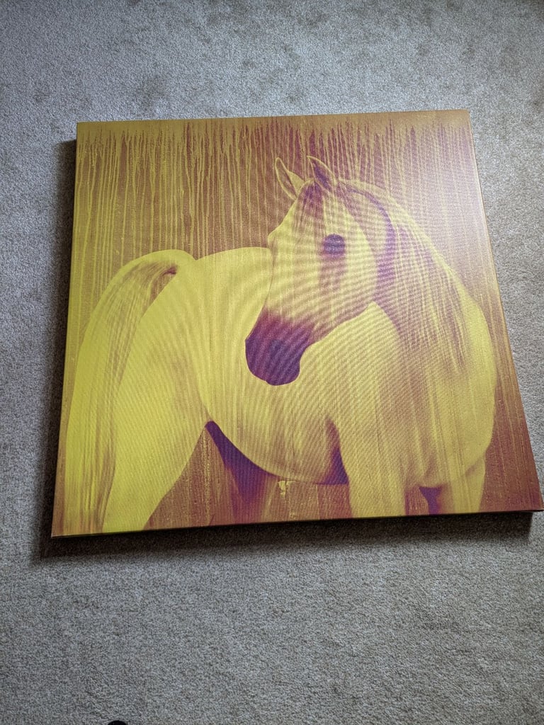 Wall art horse portrait Habitat brand