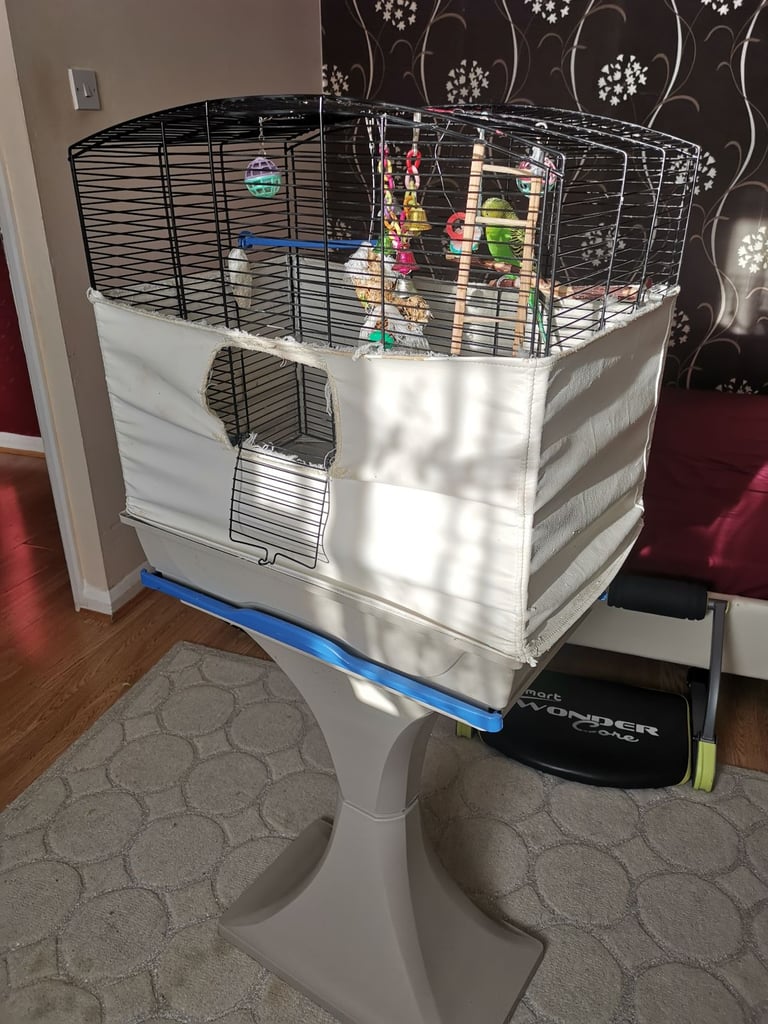 Parrot, Budgie or bird cage with a stand. In great condition. 60x55cm. Free budge food.