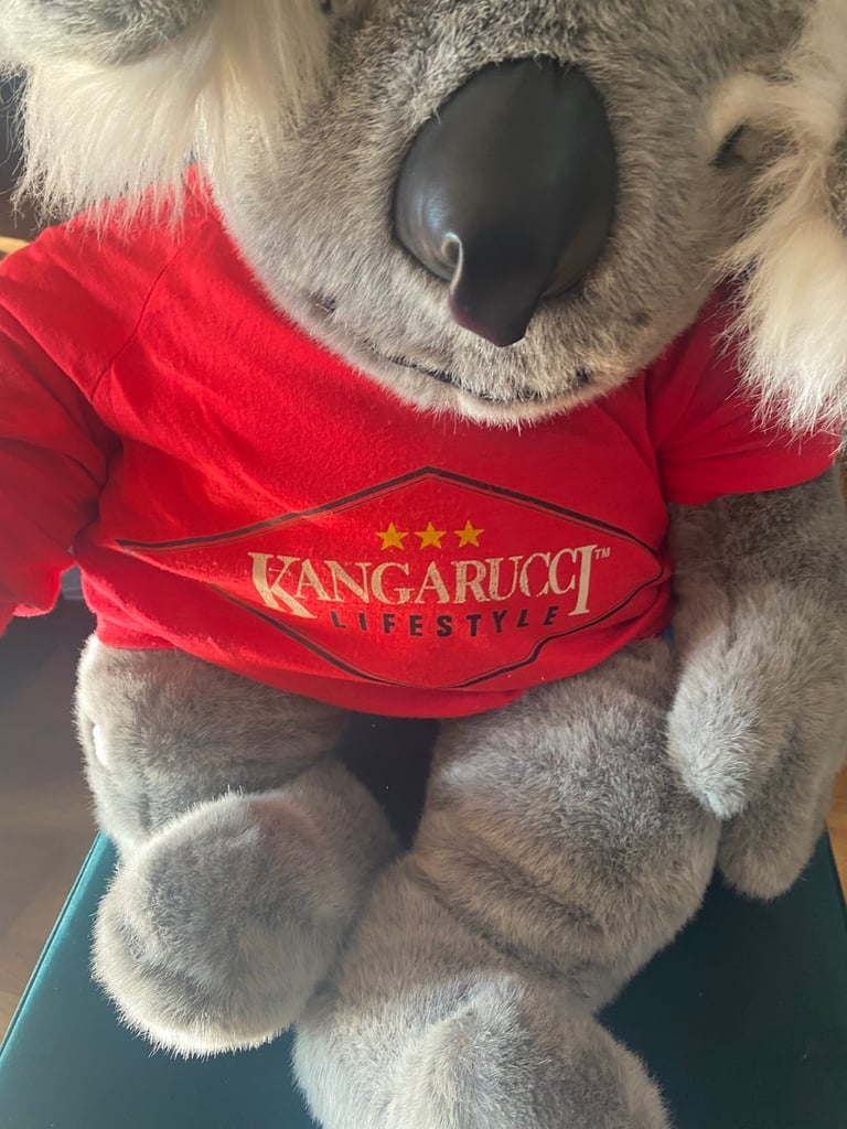Large Koala bear 