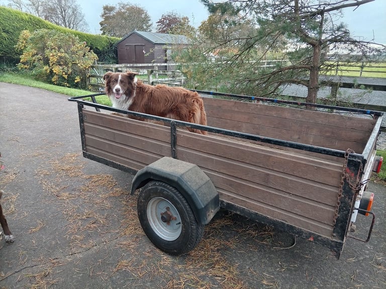 image for 6x4 trailer for sale, collie not include